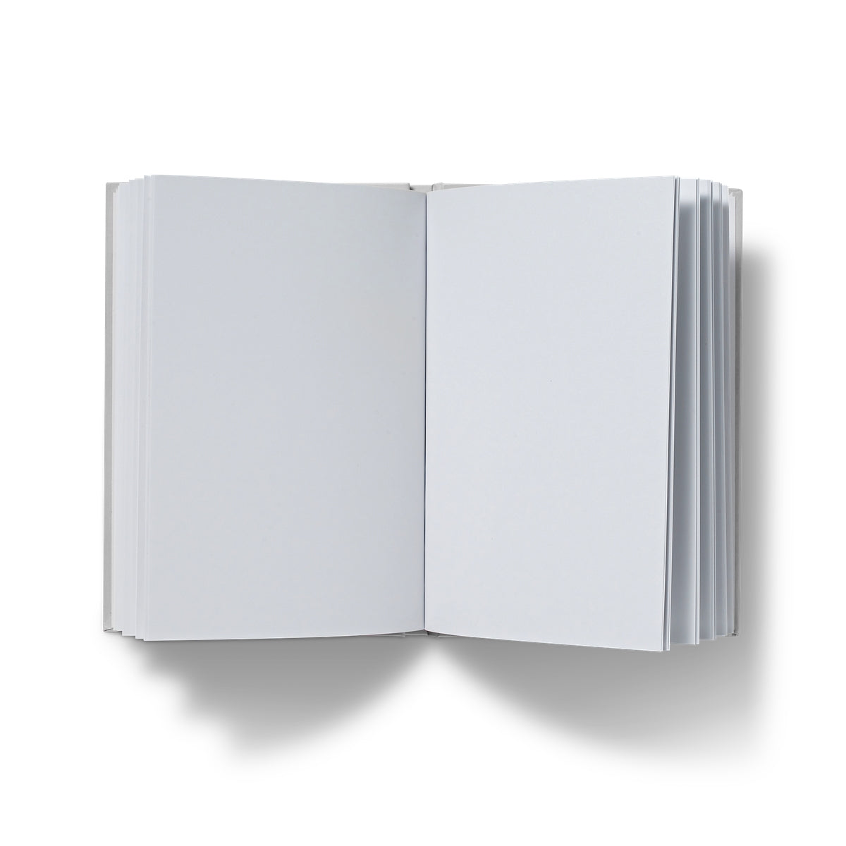 Hardback plain journal.
