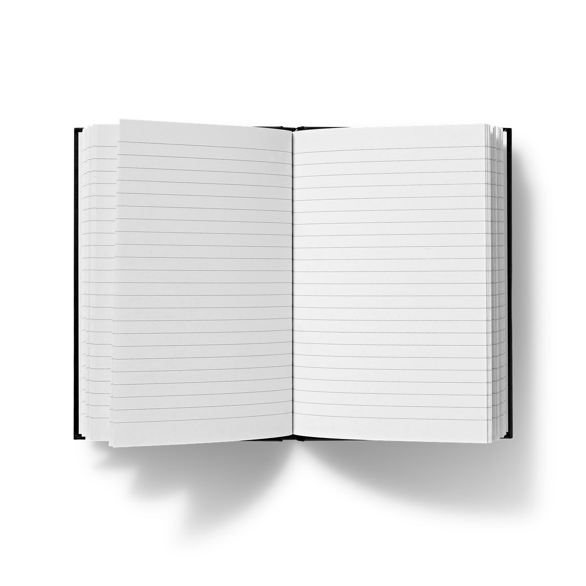 Hardback lined journal.