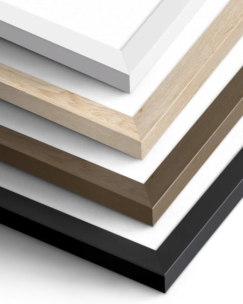 Collection of different colored picture frames on a white background